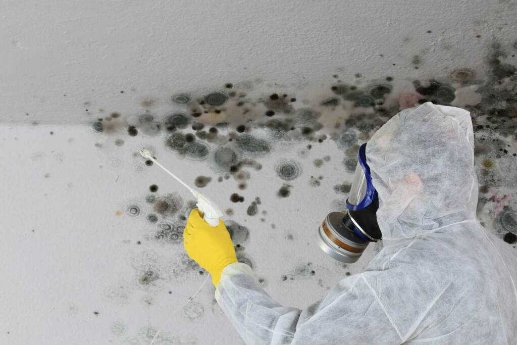 Mold Remediation Company in Mt. Pleasant- Why Realtors &amp; Home Inspectors Choose Us