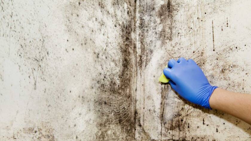 How to Remove Mold From a Crawl Space