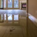 Water damage is one of the most common problems that homeowners face