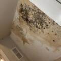 Mold Remediation Timeline: How Long It Takes and What Commercial Property Owners Should Expect
