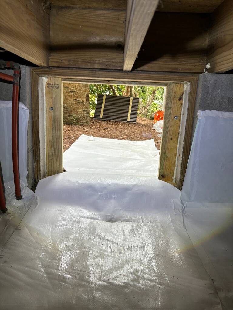 how to remove mold in crawl space