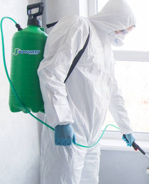 mold-removal-by-biosweep